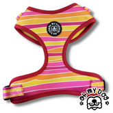 Stripes - Pink Adjustable Dog Harness
