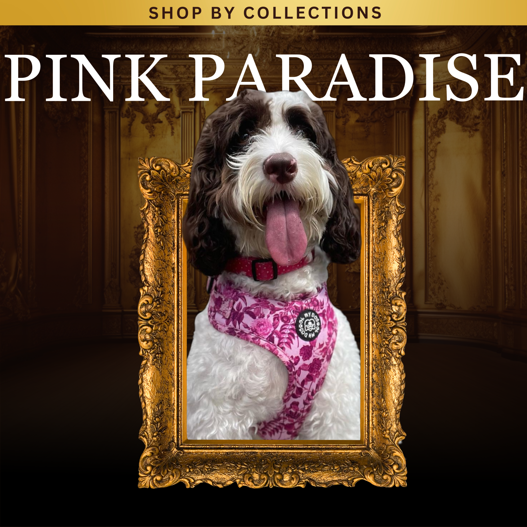 COLLECTION: PINK PARADISE