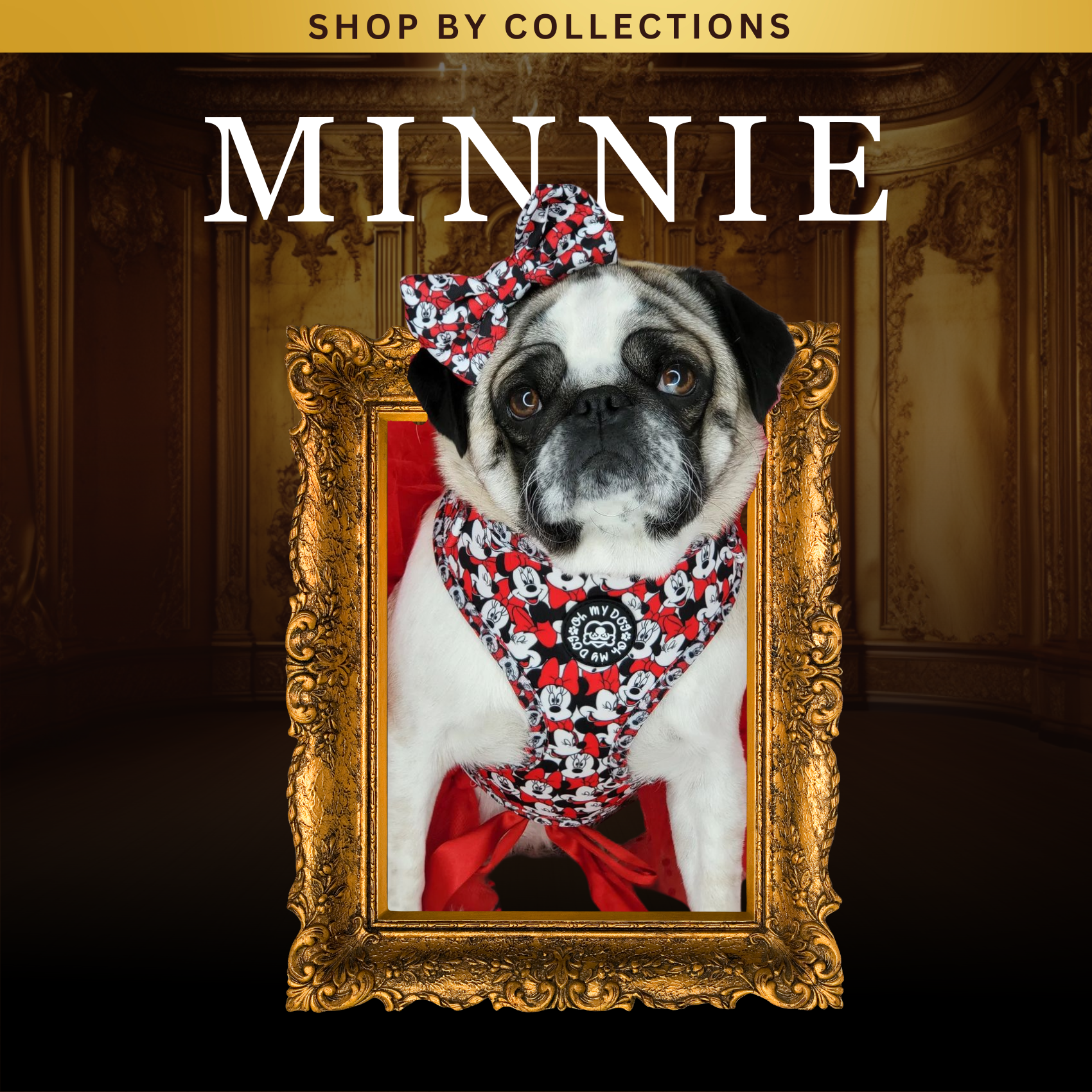 COLLECTION: ICONIC MINNIE