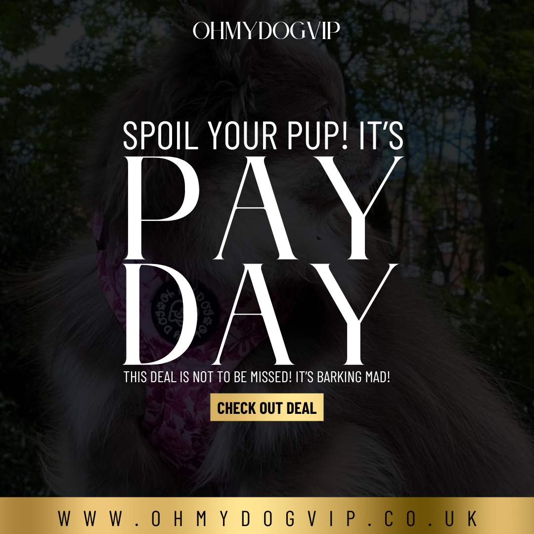 Pay Day Special